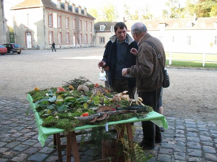 2008 10 Expo Bergerie Rambouillet 24